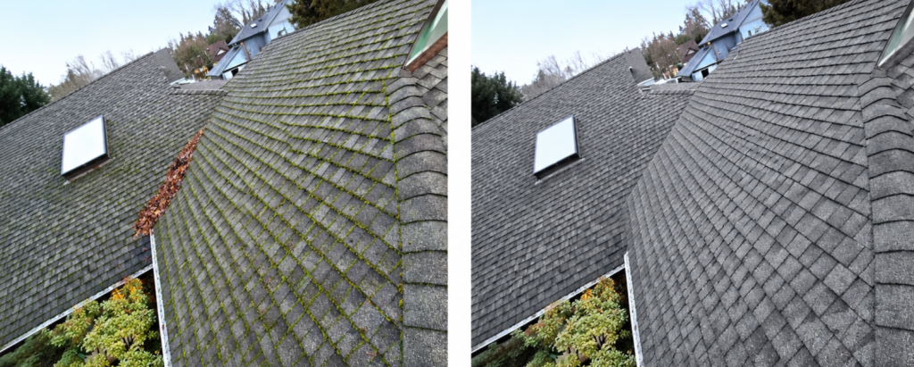 From mossy roof to clean roofline.